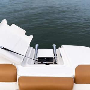 BAYLINER DX2000 2021 en STOCK