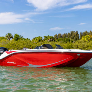 BAYLINER ELEMENT M19