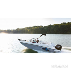 BAYLINER ELEMENT E21